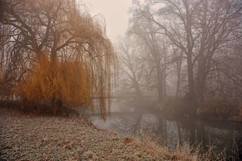 Cold whispered to me in the morning / Am frühen Morgen sieht der Fluss und seine Bäume im Herbst noch so verträumt aus