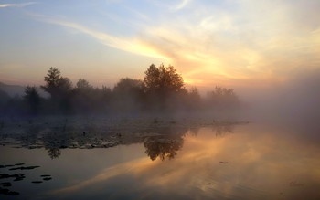 Misty Morgengrauen. / ***