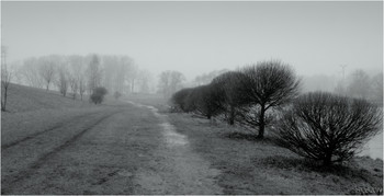 Spaziergang im Nebel / ***