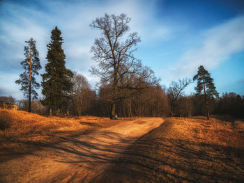 Park in early spring on a sunny day. / Park in early spring. Gatchina. Russia.