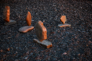 Regatta / ***