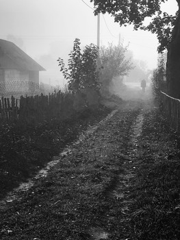 Straße im Nebel / ***