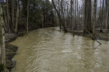 High Spring Water / The spring water this year is really high