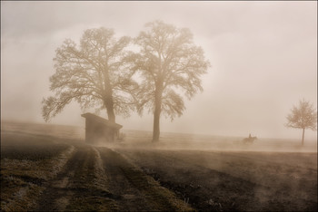 Der Reiter / Nebel über dem Feld