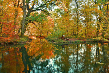 Autmn by the silent river / Die schönen warmen Farbtöne des Frühherbstes und die Spiegelungen im ruhigen Flusswasser ergeben eine tolle Einheit