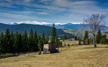 &nbsp; / [img]https://i.imgur.com/EUZUQDZ.jpg[/img]
