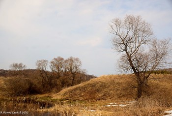 Frühling / ...