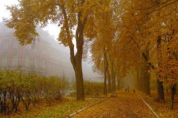 Goldene Allee / ***