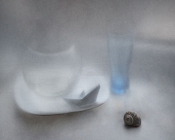 &nbsp; / ..........................................