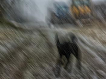 Bei schlechtem Wetter / ***