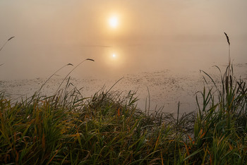 Morgendämmerung / ***