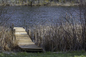 Small Dock / This small dock between the reeds gets you out to the water