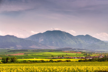 &nbsp; / https://max-helloween.livejournal.com/182182.html