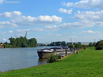 Hamburg / ***