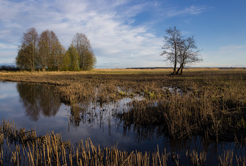 Frühlingsfrisur / ***