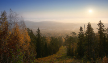 Foggy Sonnenaufgang / ***