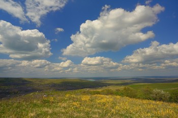 Steppe / ***