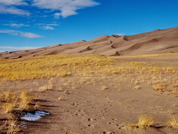 &nbsp; / Great Sand Dunes National Park, Colorado, USA