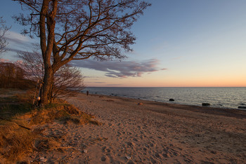 Abend Promenade / ***