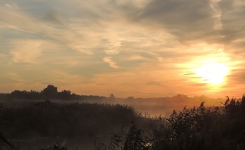 Morgen auf dem Altarm / ***