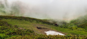 Morgen in den Bergen / ***