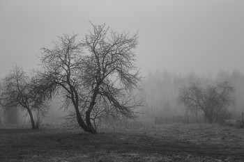 Vormittag / ***