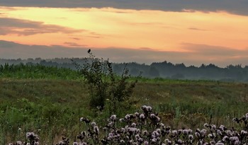 Morgendämmerung / ***