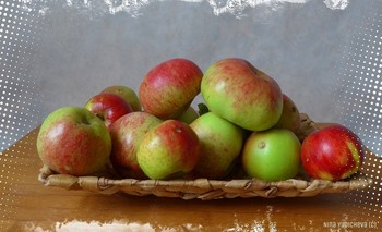 Äpfel / ***