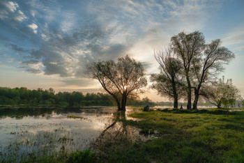 Der Frühling ist in vollem Gange / ***