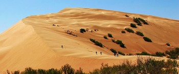 Singende Düne / ***