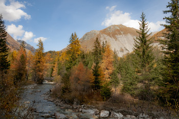 Goldener Herbst / ...