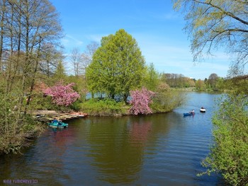 Stadtpark Hamburg / ***