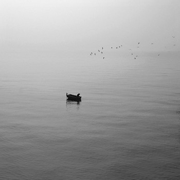 Herbstnebel / ...