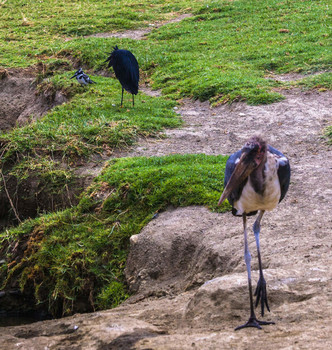 Jeder hat seine eigene Art und Weise / ***