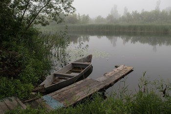Nebliger Morgen / ***