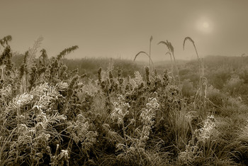 in Richtung der Sonne / ***