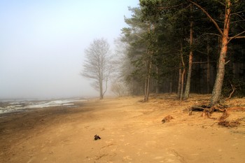 Der Geruch des Herbstes / ***