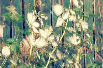 &nbsp; / [img]https://a.radikal.ru/a00/2005/e5/d0f3883231b3.jpg[/img]

[img]https://b.radikal.ru/b38/2005/b1/ceb38fe9a357.jpg[/img]