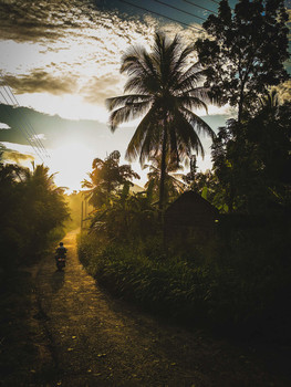 Morning / Morning in Sri Lanka