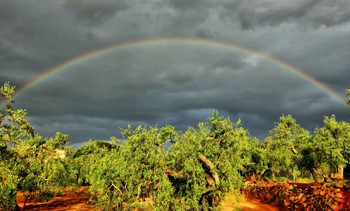 NATURA / Reus al camí de Maspujols al Baix Camp