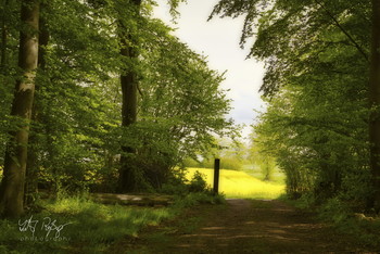 Willkommen in meiner Welt! / Aus dem Wald bis in ein Rapsfeld