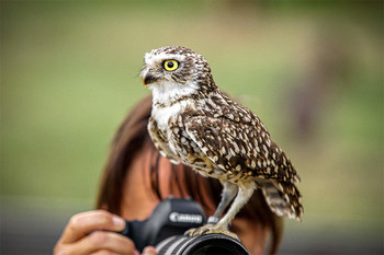 ein wachsamer Blick / ein wachsamer Blick