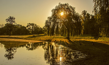 Sonniger Morgen / ***