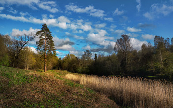 A cold evening in may. Gatchina. Priory Park. / A cold evening in may.