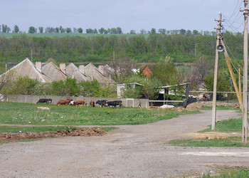 &nbsp; / [img]https://sun9-42.userapi.com/c857632/v857632840/1f326e/qDO8Owt05XA.jpg[/img]