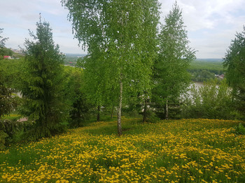 Die letzten Dinge / ***