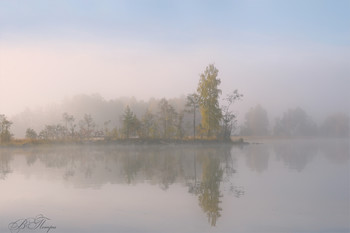 Nebel Blätter / ***