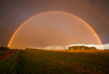 Regenbogen / ***