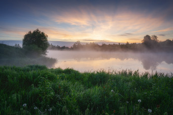 Herbstnebel / ***