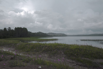 Nach dem Regen / ***